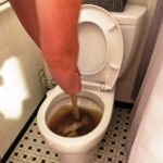 fixing a clogged toilet